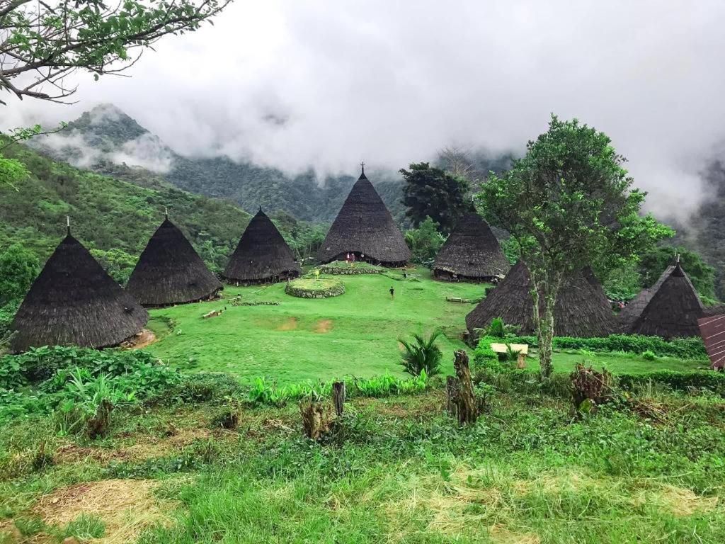 Komodoku One Love Homestay And Tour 纳闽巴霍 外观 照片