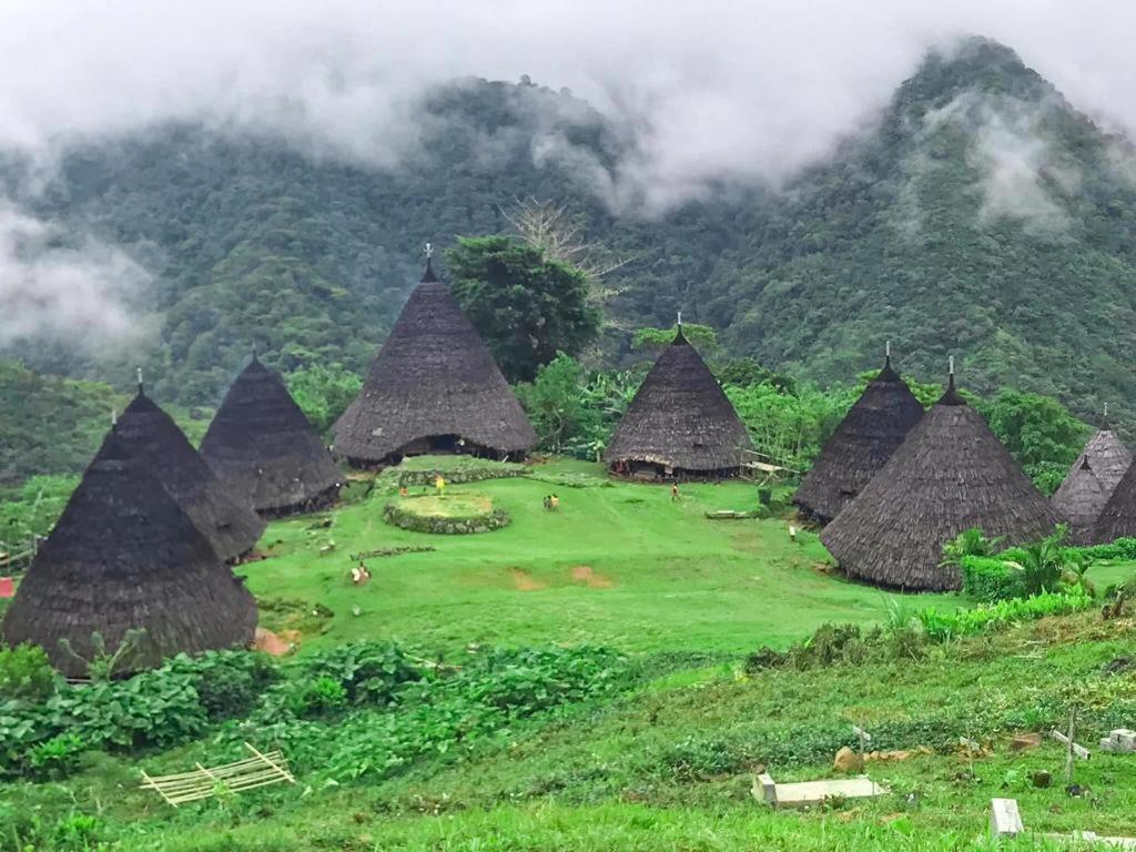 Komodoku One Love Homestay And Tour 纳闽巴霍 外观 照片